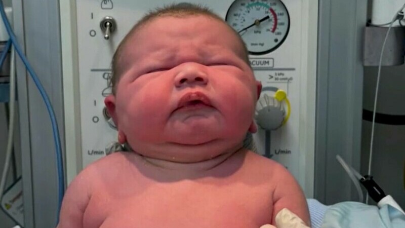 bebelus grand canyon