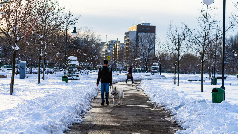 frig, persoana pe strada, zapada