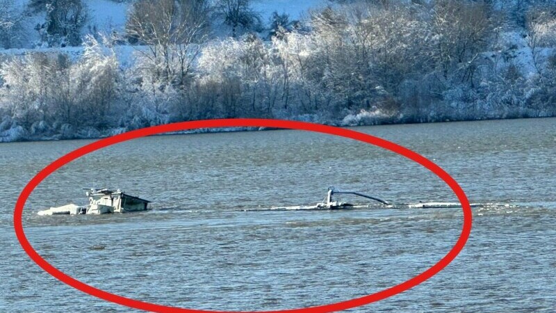 Barja Phoenix Jupiter