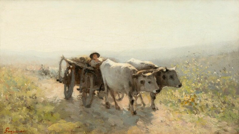 colectia de arta valcov