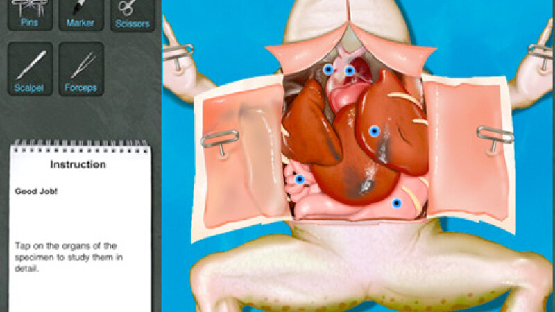 Disectie virtuala pe broaste