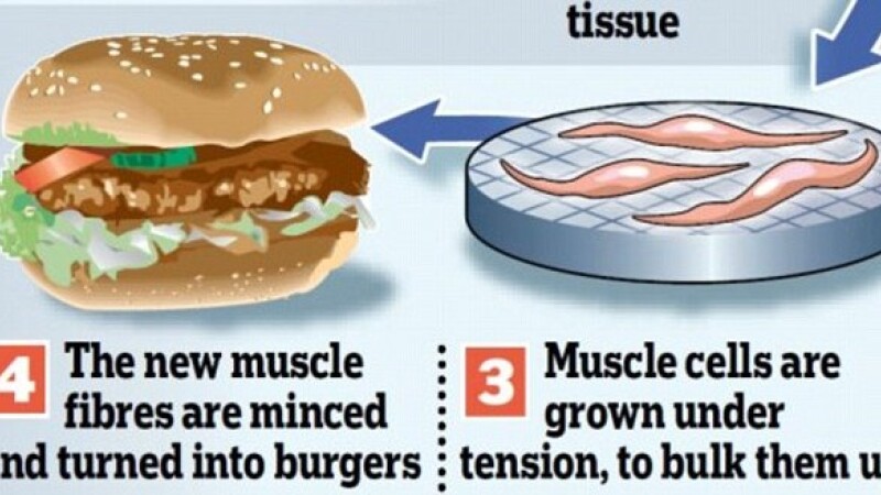 hamburger artificial