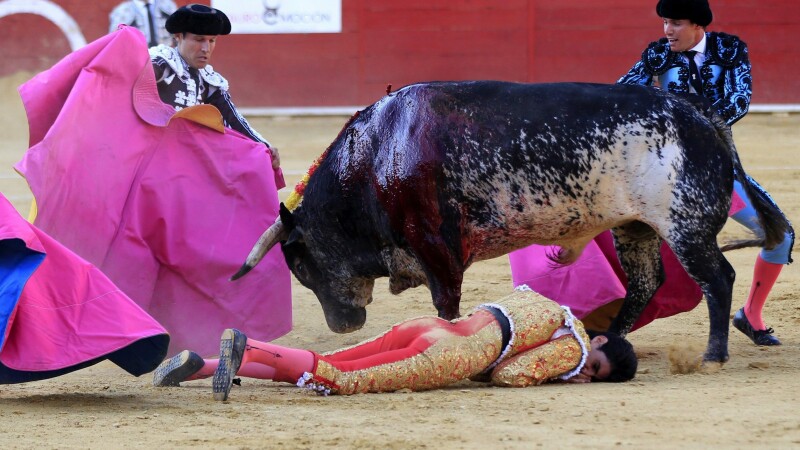 matador ucis in Spania - Agerpres