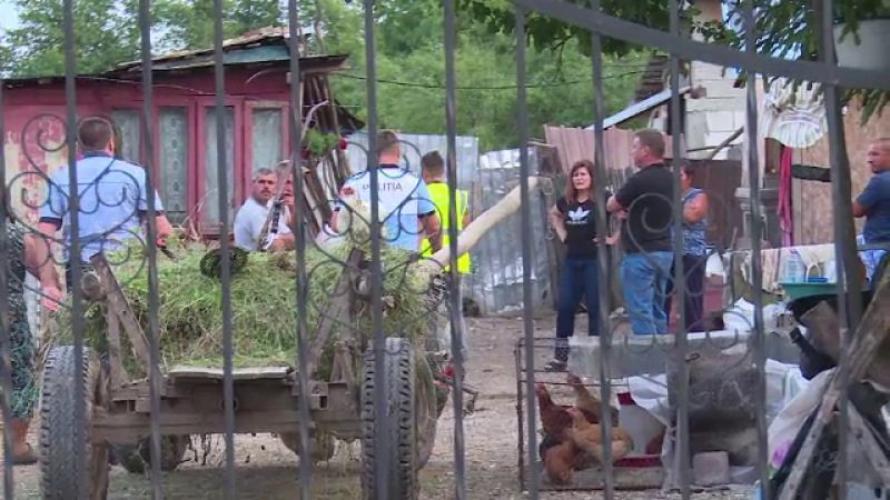 sinucidere dambovita