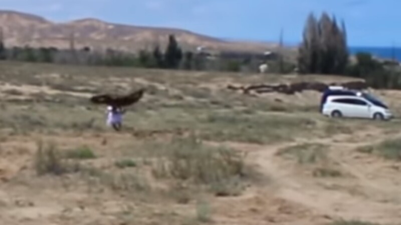 atac vultur