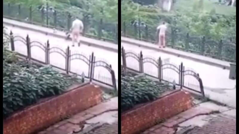 Un angajat de la salubritate mătură un cățel de pe stradă și-l aruncă de pe pod