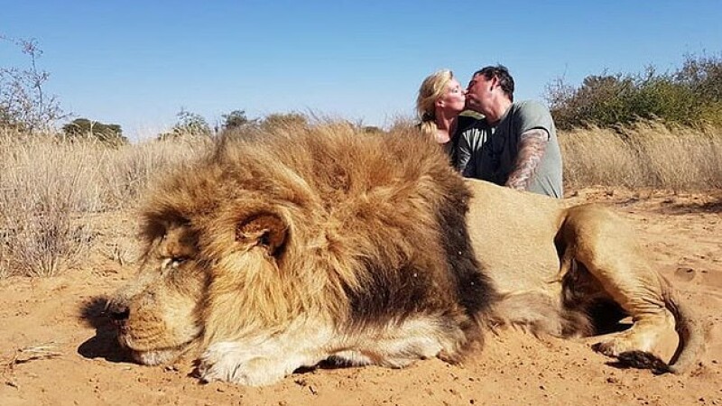 Handful Motivation Breaking news S-au fotografiat sărutându-se lângă un leu ucis. Ce le-au transmis  criticilor. FOTO - Stirileprotv.ro