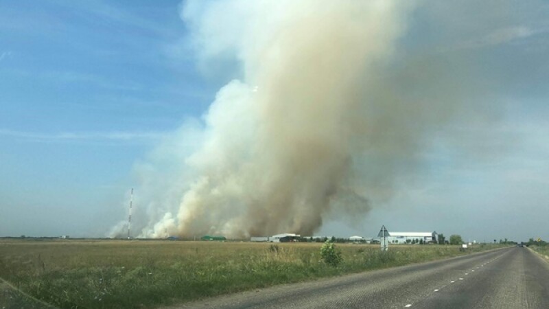 Incendiu pe zeci de hectare lângă Timişoara