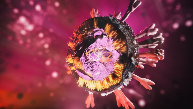 coronavirus