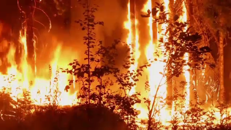 Incendiu de pădure