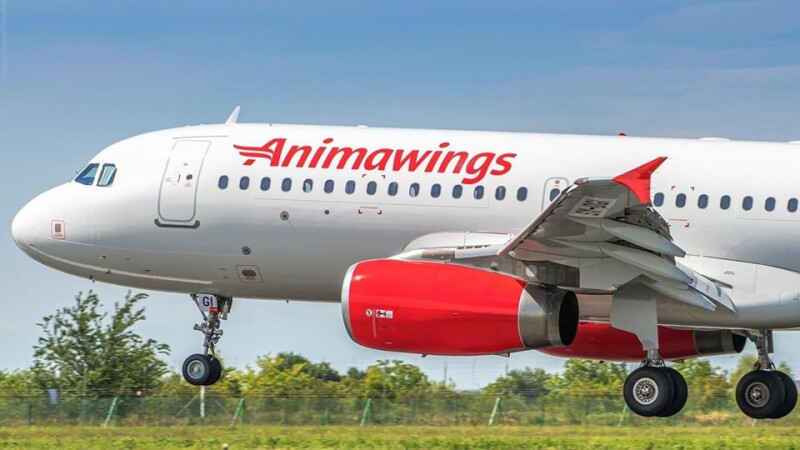Animawings