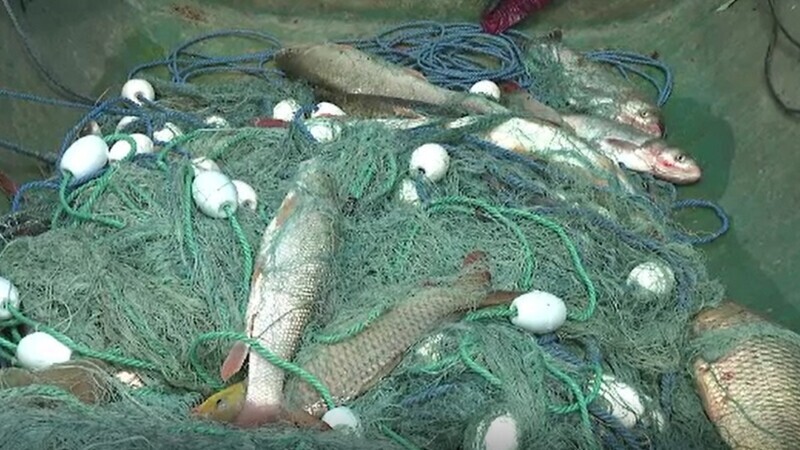 Veste teribilă pentru braconieri. Pescuitul ilegal s-ar putea pedepsi cu până la 8 ani de închisoare