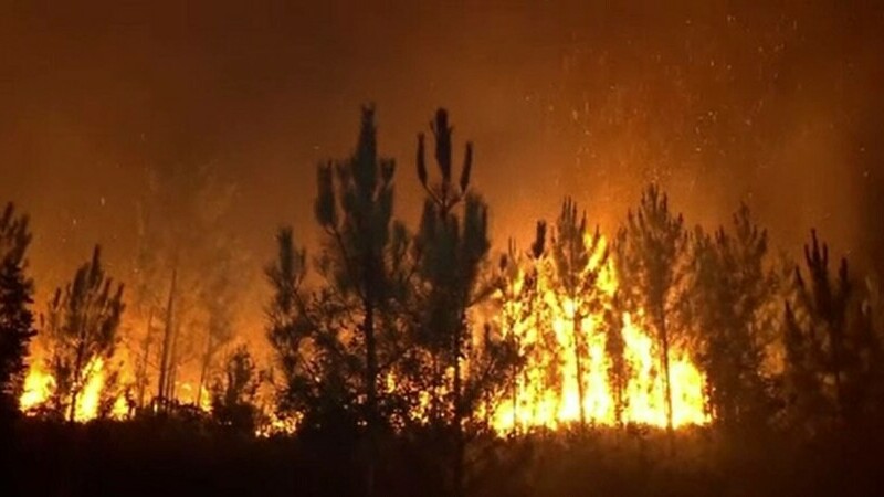 Europa se confruntă cu al doilea val de caniculă. Incendiile fac ravagii în Portugalia