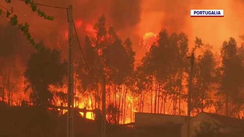 incendii de vegetatie in Europa