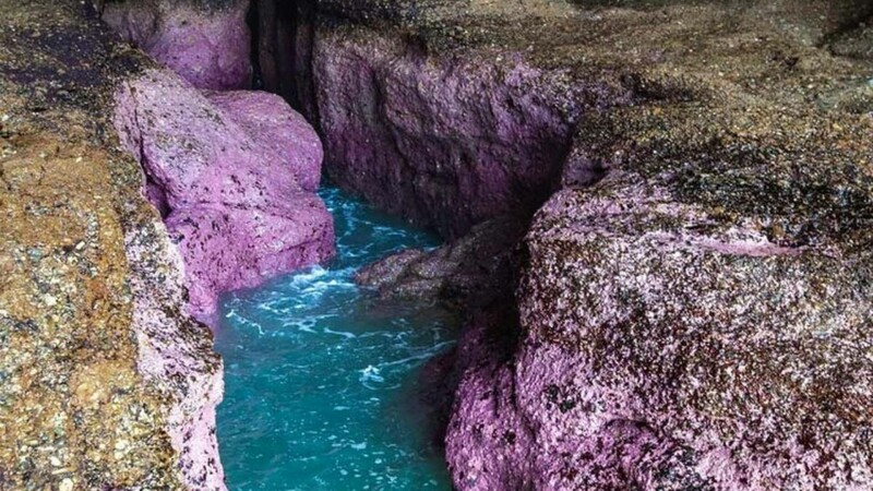 roci roz Pink Caves