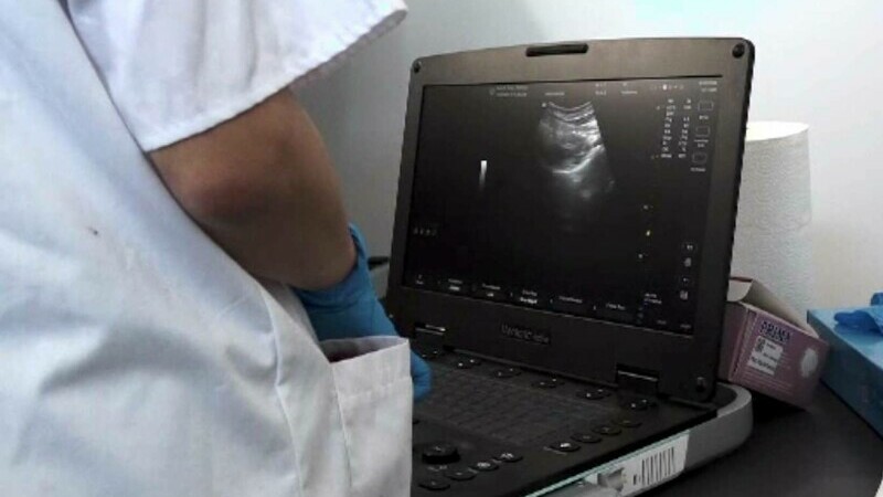 Analize și examene ecograf gratuite pentru mame și femeile gravide, în Mureș