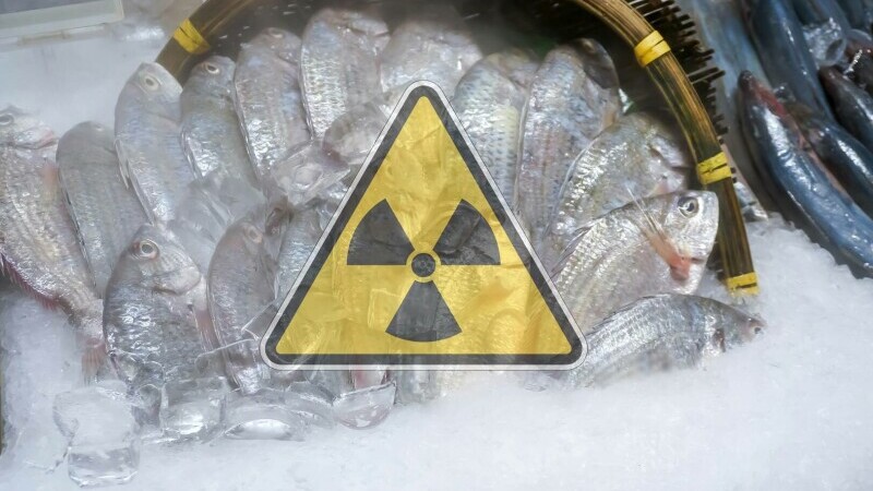 Fukushima, nuclear, pesti