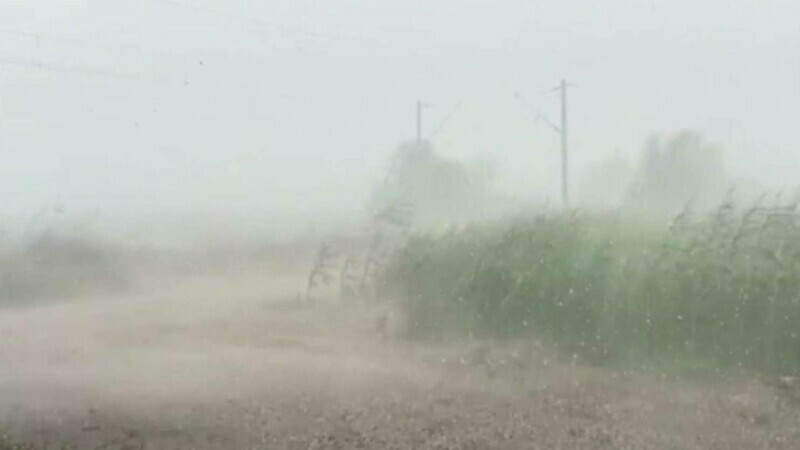 Furtunile au făcut ravagii în țară: „Spuneai că e ceaţă, aşa bătea”