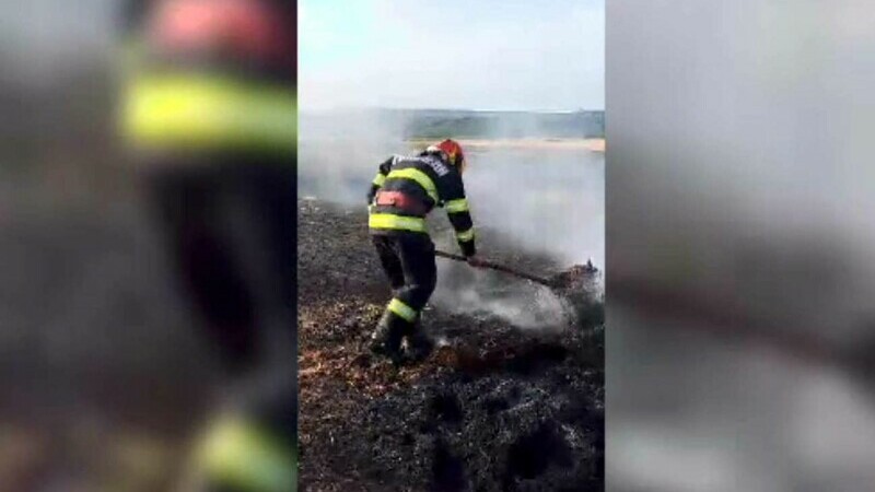 Un agricultor din Botoșani a rămas fără toată cultura de grâu. Un incendiu a mistuit-o, împreună cu un utilaj