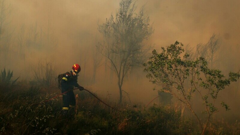 incendii grecia