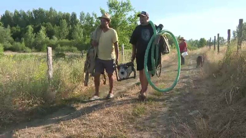 pomi udati gorj