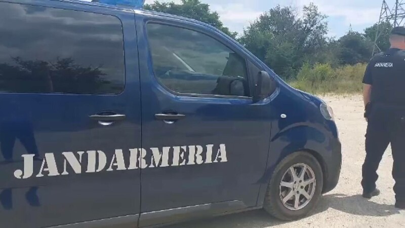 pantera