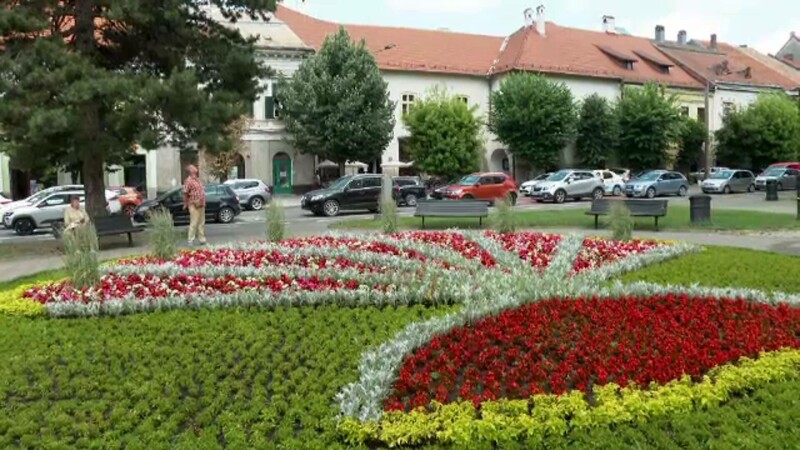bistrita