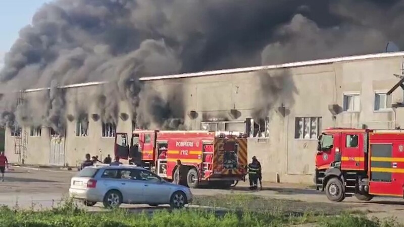 Incendiu hală Timiș