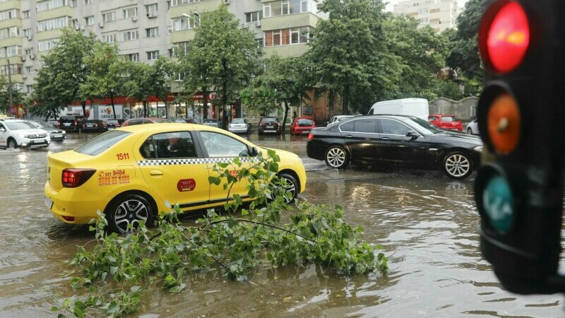 Furtuna Bucuresti