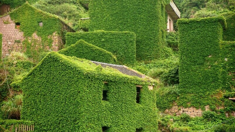 Un sat abandonat din China