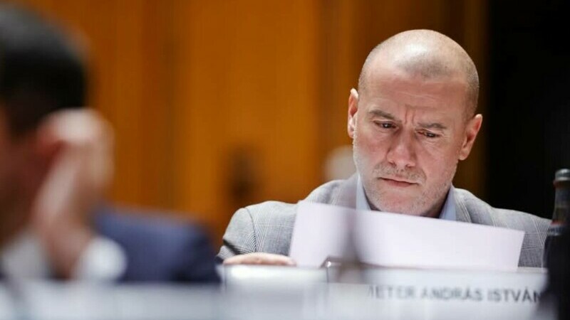 Ministrul Culturii, Demeter Andras Istvan