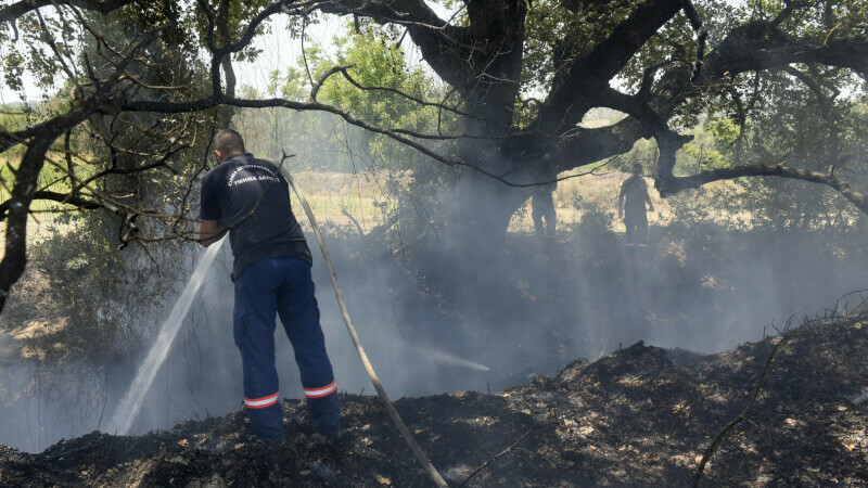 Două persoane au murit şi alte sute au fost evacuate, în urma unui incendiu masiv de vegetaţie în Cipru