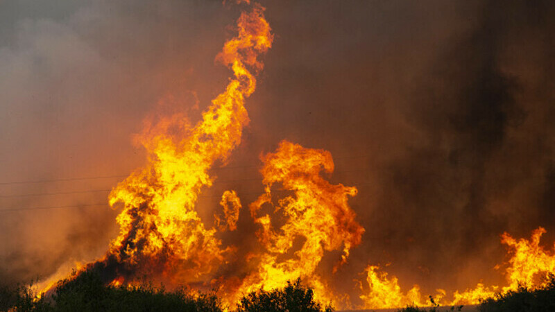 Incendiile de vegetație fac prăpăd în Bulgaria