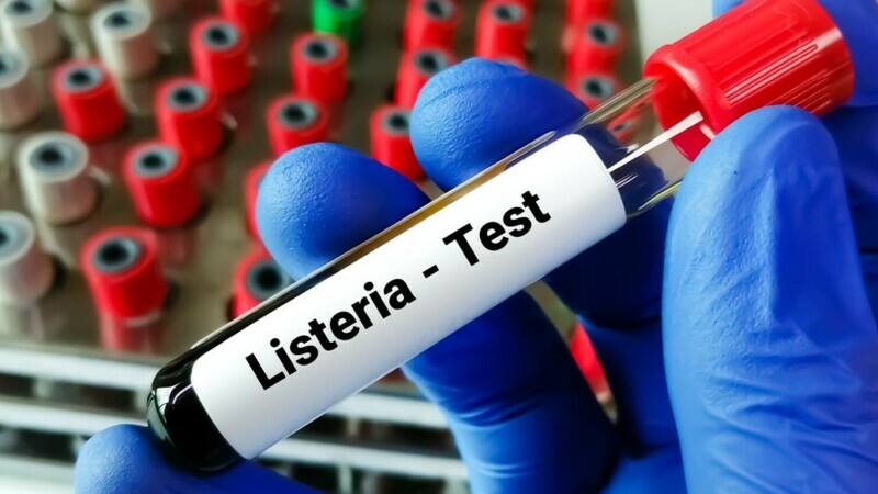 infecție bacteriană cu listeria