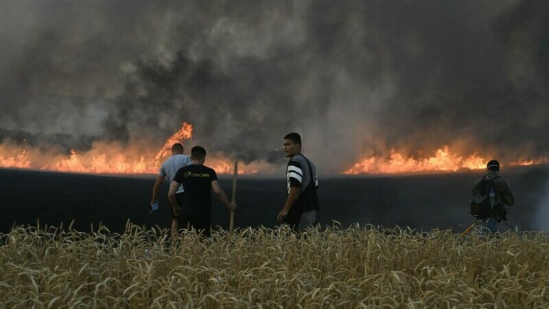 incendiu vegetatie bulgaria