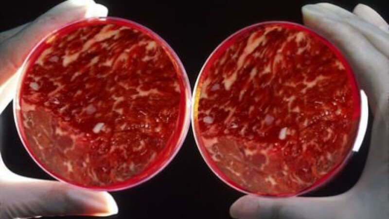 Carne in vitro