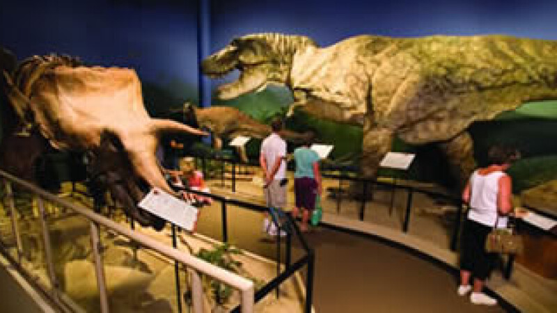 dinozauri la muzeu