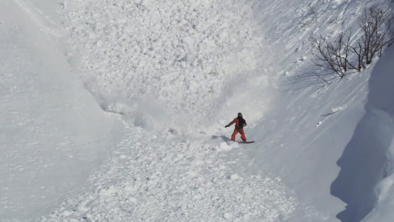 iepure avalansa