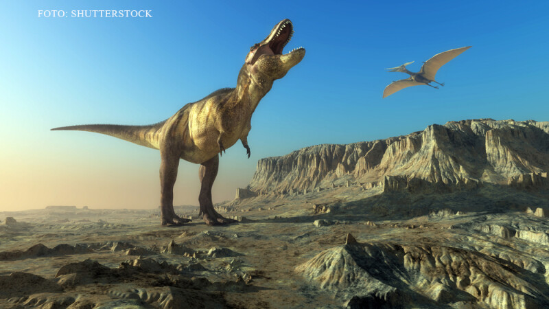 dinozauri