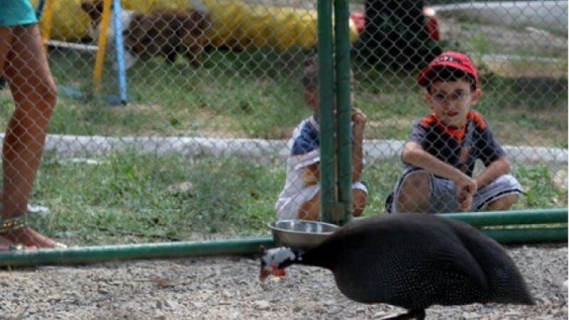zoo hunedoara