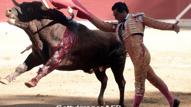 O greseala s-a dovedit fatala pentru un matador spaniol