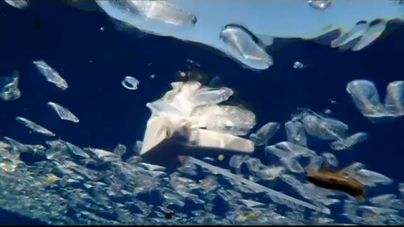 Poluare masivă cu plastic a mărilor și oceanelor