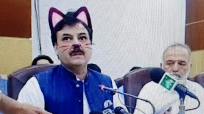 Politicieni cu mustăți și urechi de pisică, în timpul unei ședințe. Momentul, transmis live - 1