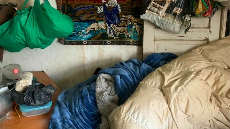 O femeie din Suceava a trăit 3 ani închisă în podul casei, alături de câinii săi. ”Cel mai revoltător caz de degradare umană”