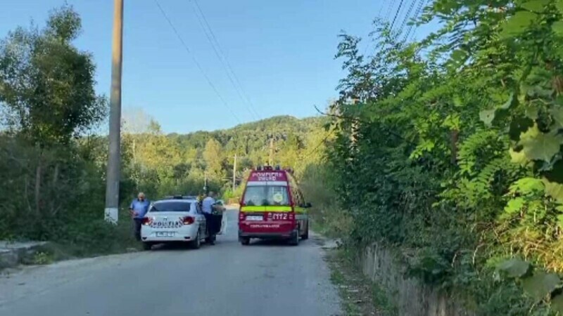 Un urs „cât o vacă” a atacat un bărbat din Argeș care mergea la serviciu. Atacul a avut loc pe un drum circulat