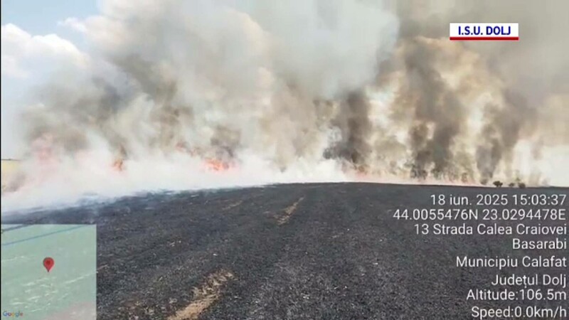 Incendiu Dolj