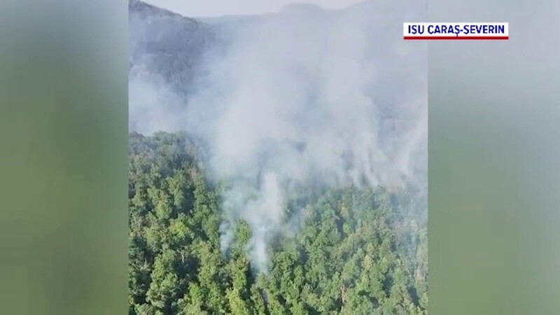 foc padure