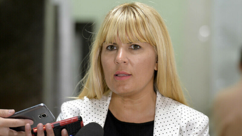 elena udrea