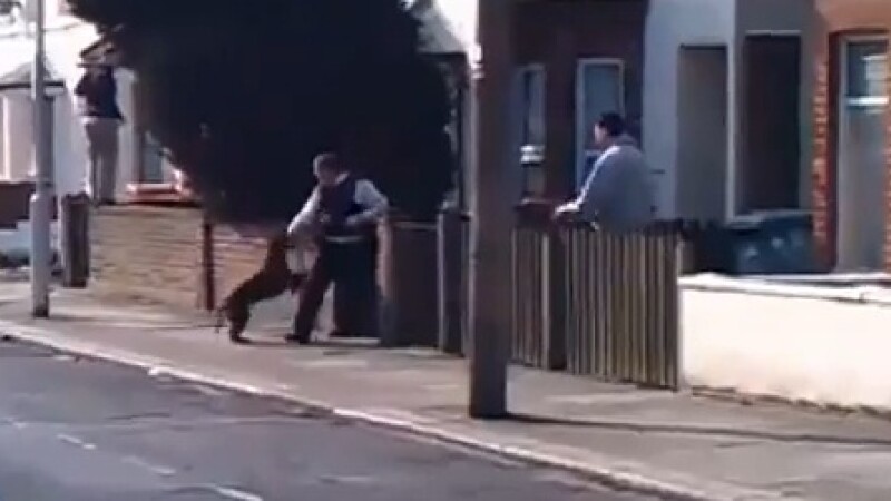 politisti atacati de un pitbull