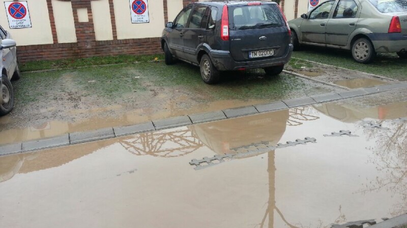 parcare ecologica inundata